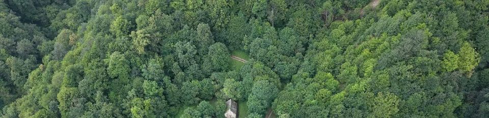 Aerial view of dense green forest with a small stone building among the trees near Dilijan