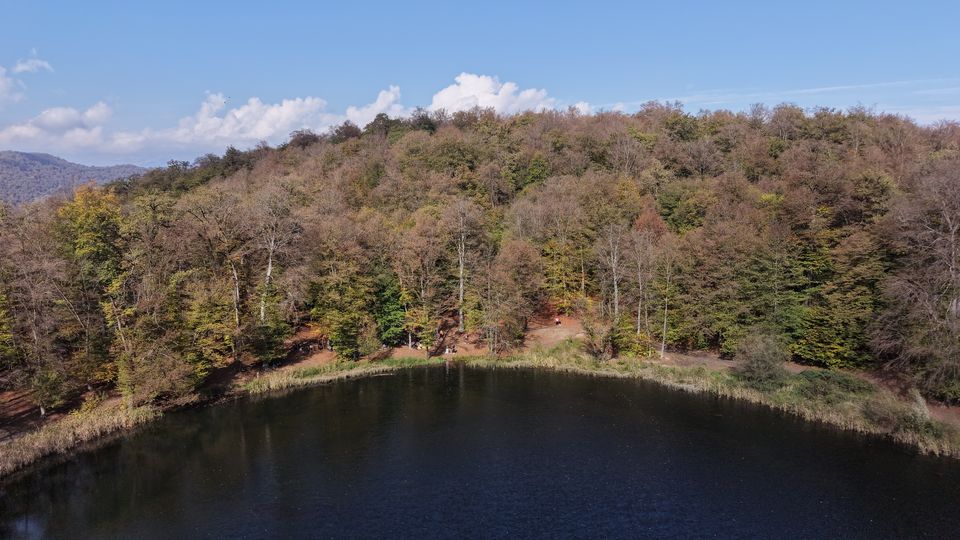 Autumn forest sloping down to the dark water of Gosh Lake