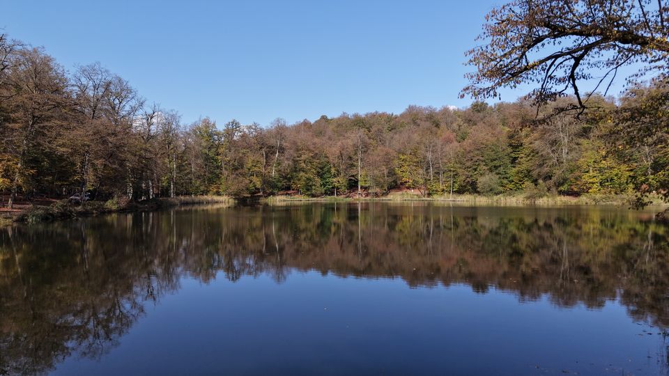 Gosh Lake from the shore, autumn forest reflected in still dark water
